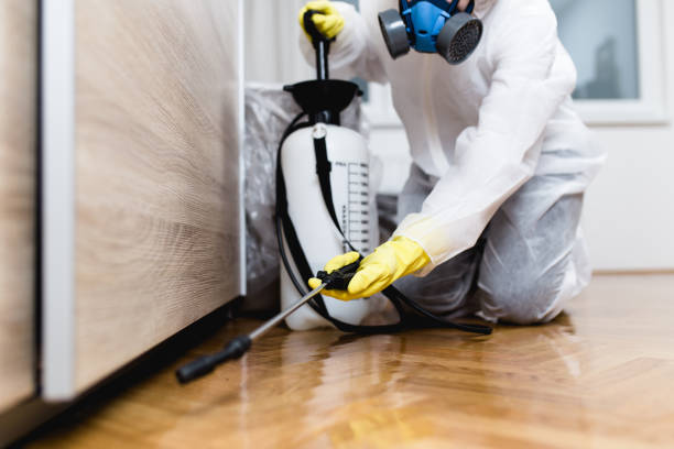 Best Wasp Removal Services  in Obion, TN