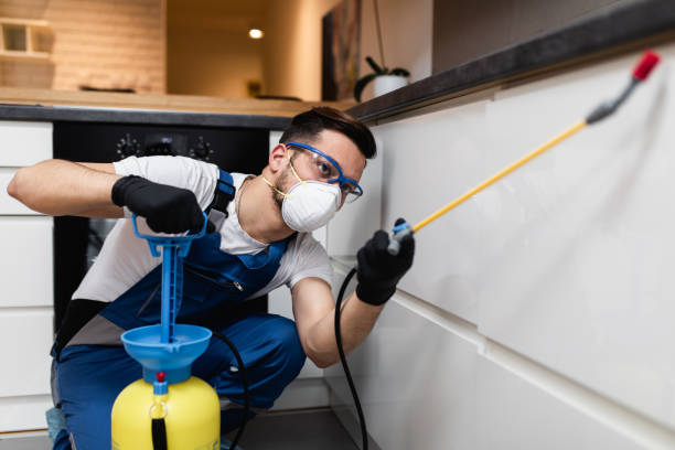 Best Pest Control for Businesses  in Obion, TN