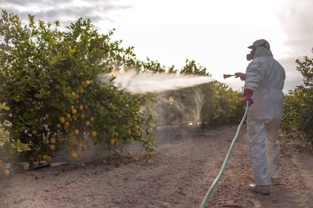 Best Insect Control  in Obion, TN