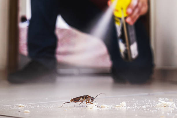 Best Emergency Pest Control  in Obion, TN