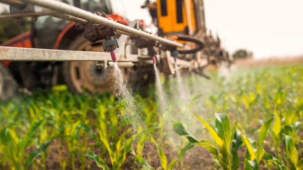 Professional Pest Control in Obion, TN