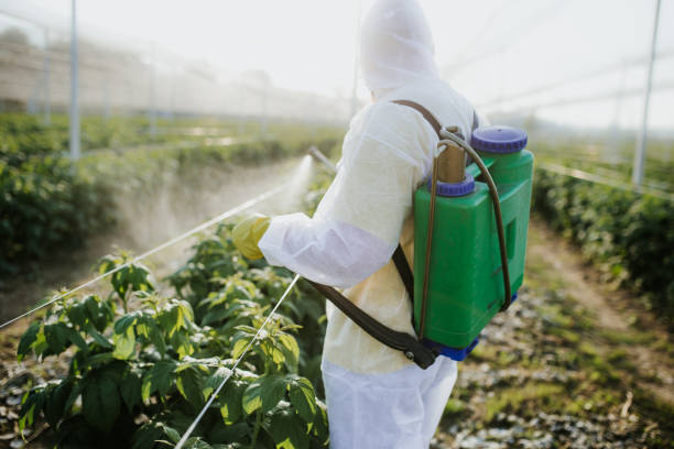 Best Commercial Pest Control Services  in Obion, TN